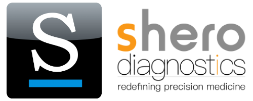 Stratedigm Logo and Shero Logo Side By Side
